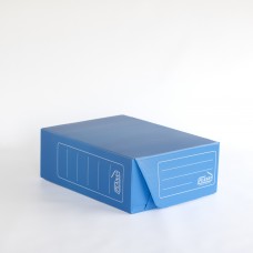 CAJA ARCHIVO PLASTICA A4 12