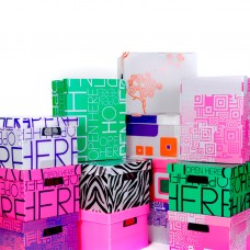 CAJA CON TAPA ORDENATE 45x35x26cm