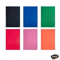 CARPETA 3 SOLAPAS CON ELASTICO Nø6 PLASTICA RIDEO