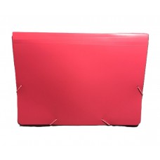 CLASIFICADOR A4 12 DIVISIONES CON ELASTICO COLOR THE PEL