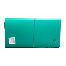 CLASIFICADOR CHEQUERA 12 DIVISIONES CON ELASTICO COLOR THE PEL