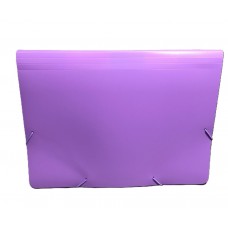 CLASIFICADOR A4 12 DIVISIONES CON ELASTICO PASTEL THE PEL