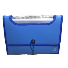 CLASIFICADOR A4 12 DIVISIONES CON VENTANA COLOR THE PEL