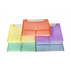 CLASIFICADOR CHEQUERA 12 DIVISIONES CON VENTANA PASTEL THE PEL