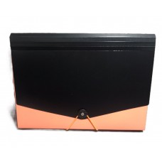 CLASIFICADOR A4 12 DIVISIONES BICOLOR THE PEL