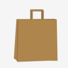 BOLSA PAPEL KRAFT CON MANIJA 45x48x15cm ACUARIO x u