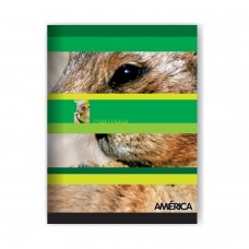 CUADERNO ESCOLAR 16x21 AMERICA TAPA FLEXIBLE RAYADO 24 hj x 30u