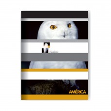 CUADERNO ESCOLAR 16x21 AMERICA TAPA FLEXIBLE CUADRICULADO 24 hj x 30u