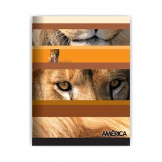 CUADERNO ESCOLAR 16x21 AMERICA TAPA FLEXIBLE LISO 48 hj x 15u