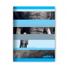CUADERNO ESCOLAR 16x21 AMERICA TAPA FLEXIBLE CUADRICULADO 48 hj