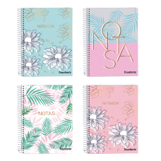 CUADERNO A6 TRIUNFANTE TAPA DURA RAYADO 80 hj