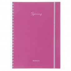 CUADERNO A4 RIDEO CON ELASTICO TAPA PLASTICA LISO 120 hj