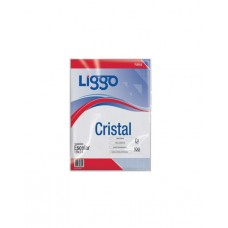 FOLIO PP ESCOLAR 40 mic x 100u LIGGO