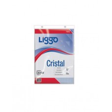 FOLIO PP ESCOLAR 40 mic x 10u LIGGO