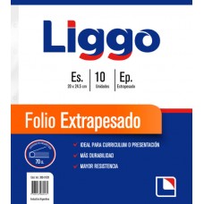 FOLIO PE ESCOLAR 70 mic EXTRAPESADO x 10u LIGGO