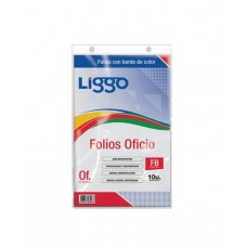 FOLIO PE OFICIO BORDE COLOR x 10u LIGGO