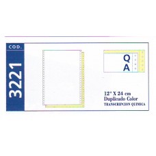 FORMULARIO CONTINUO DUPLICADO FISCAL 12x24cm x 500u OFERTA