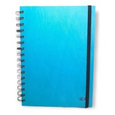 REP.AG.ARWEN Nº7.2026 DIARIA.