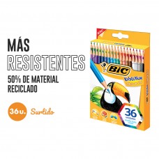 LAPICES COLOR BIC EVOLUTION 36u