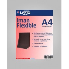 IMAN PLANCHA A4 GLEE x u