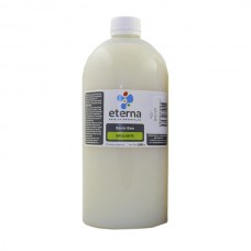 BARNIZ ETERNA BASE 1000ml