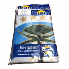 BANDERA NEUQUEN 90x150cm