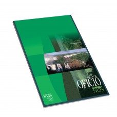 BLOCK EMBLOCADO OFICIO CUADRICULADO 80 hj AMERICA