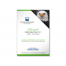 BLOCK PLANT.17x25.230g.OLE.20h.ENCOLADO.