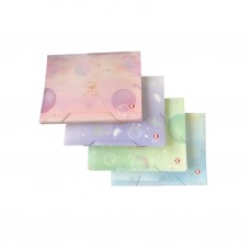 CLASIFICADOR A4 12 DIVISIONES CON ELASTICO STAR THE PEL