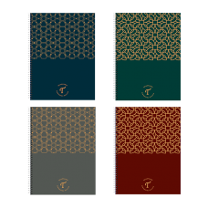 CUADERNO A4 TRIUNFANTE TAPA DURA RAYADO 100 hj