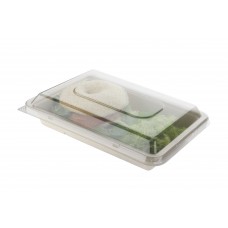 BANDEJA CAÑAPACK 105 CON TAPA 17x25x4cm x 10u