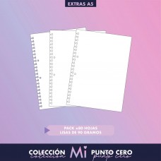 REPUESTO CUADERNO INTELIGENTE A5 80 hj LISO MI PUNTO CERO